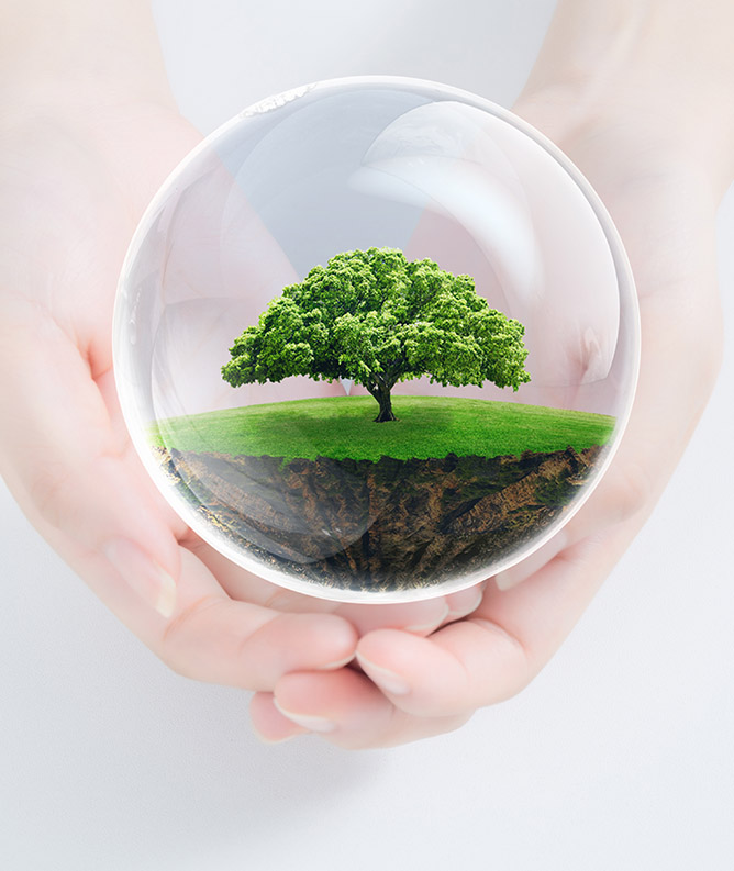 AG�ι��֡�(�й���)���޹�˾����