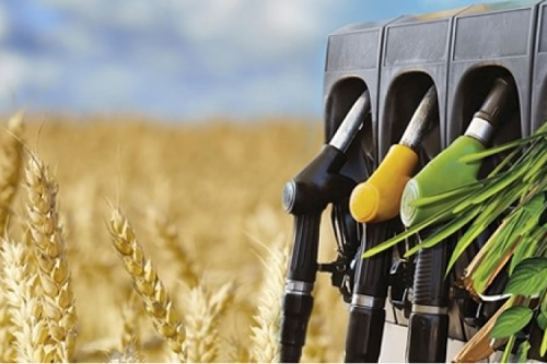 ����ǩ���������ȵ�������Ŀ�������Э���ͨ��