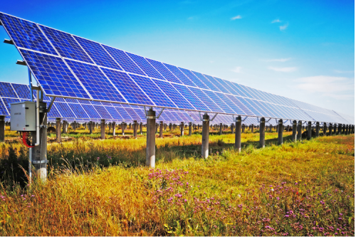 AG�ι��ּ��ţ�����������ҵ������������2022��һ����ʵ�֡����ź�?��