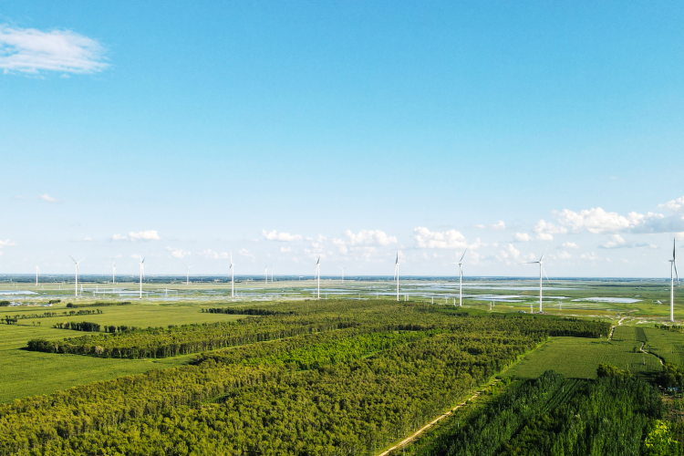 �����������С���200MW���������վ